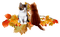 Herbst, Katzen, Autumn, Cats - Free PNG Animated GIF