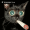 chat qui fume - Nemokamas animacinis gif animuotas GIF