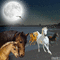 konie - Bezmaksas animēts GIF animēts GIF