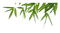 bamboo,tree,leaf - PNG gratuit GIF animé