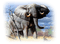 Kaz_Creations Elephants Elephant - zadarmo png animovaný GIF