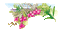 Australian native flowers bp - 無料のアニメーション GIF アニメーションGIF