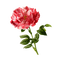 kikkapink vintage rose deco flower spring summer - δωρεάν png κινούμενο GIF