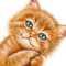 gatito - PNG gratuit GIF animé