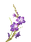 violet flowers summer - Gratis animerad GIF animerad GIF