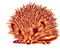 nbl-Hedgehog - bezmaksas png animēts GIF