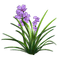 flores roxas - png gratis GIF animasi