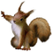 Kaz_Creations Animals Squirrel