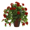 Red.Fleurs.Pot.Vase.Plants.Victoriabea