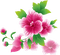 All my lovely flowers - kostenlos png Animiertes GIF