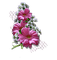 flowers by nataliplus