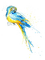 blau gelb gemalter vogel - gratis png animerad GIF