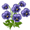 fleurs ( - gratis png animeret GIF