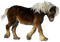 Kaz_Creations Animals Pony - png grátis Gif Animado