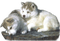 Tube chien - ingyenes png animált GIF