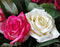 MMarcia gif rosas - GIF animado grátis Gif Animado