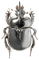 beetle - Free PNG Animated GIF