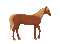 Horse - Darmowy animowany GIF animowany gif
