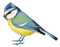 blue bird kikkapink deco - gratis png geanimeerde GIF