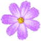 flower glitter - Бесплатный анимированный гифка анимированный гифка