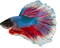 fish - безплатен png анимиран GIF