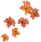 soave deco autumn leaves animated branch - GIF animé gratuit GIF animé