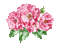 pink flowers - Безплатен анимиран GIF анимиран GIF