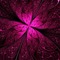 bg-purple - png gratuito GIF animata