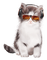 chat  idca - Free PNG Animated GIF