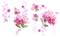 flowers - 無料png アニメーションGIF