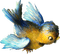 Kaz_Creations Birds Bird Blue-Yellow - PNG gratuit GIF animé