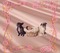 Dogs cats baby - 免费PNG 动画 GIF