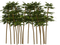 bambu - Free PNG Animated GIF