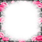soave frame vintage flowers rose black white pink - безплатен png анимиран GIF