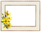 frame rectangle bp - zadarmo png animovaný GIF