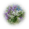 flowers - gratis png animerad GIF