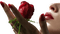 Kaz_Creations Deco Flowers Flower  Colours Bird Woman Femme - 免费PNG 动画 GIF