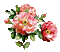 fleur-flower - Безплатен анимиран GIF анимиран GIF