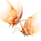 papillons/clody - PNG gratuit GIF animé