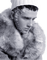 Kaz_Creations Winter Man Homme - Free PNG Animated GIF