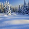 winter  background by nataliplus - png gratuito GIF animata