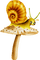 escargot - darmowe png animowany gif