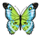 All  my butterflys - png gratis GIF animasi