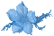 flor azul gif - Бесплатный анимированный гифка анимированный гифка