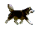 cane - GIF animado grátis Gif Animado