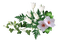 fleurs decoration - ilmainen png animoitu GIF