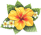 soave deco summer tropical flowers yellow green