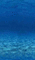 underwater sea mer meer water blue background summer ete sommer ocean ozean deep sea eau wasser sous-marin effect  gif anime animated animation image effet  fond undersea - GIF animé gratuit GIF animé