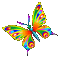 papillon - Free animated GIF Animated GIF