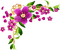 deco frame corner flowers kikkapink vintage gold - PNG gratuit GIF animé